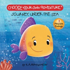 Journey Under the Sea Board Book